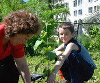сотрудники мини–отелей valka hotels group посадили сад в детском доме